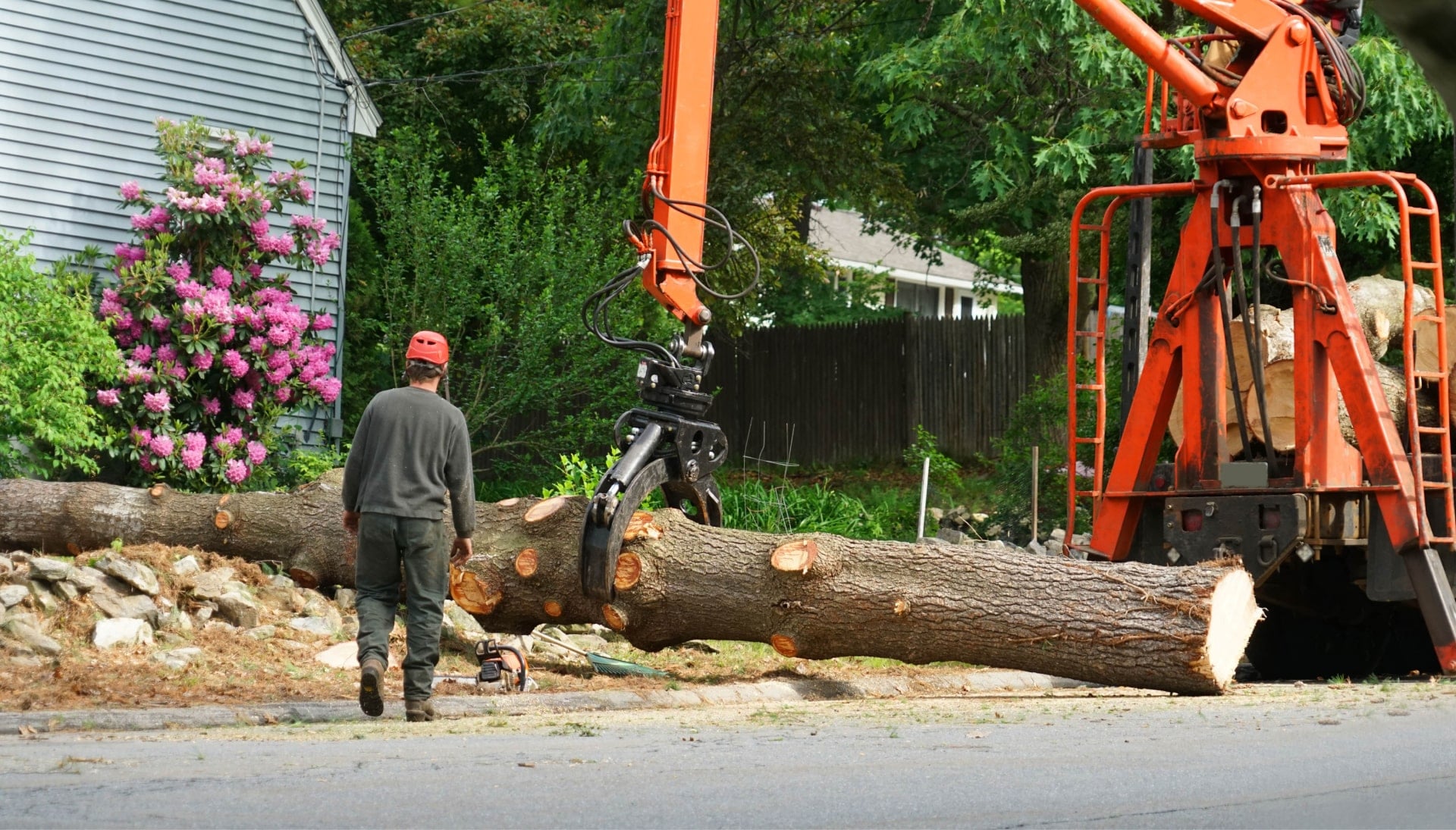 Heavy machinery is used to remove a tree after cutting in Columbus, OH