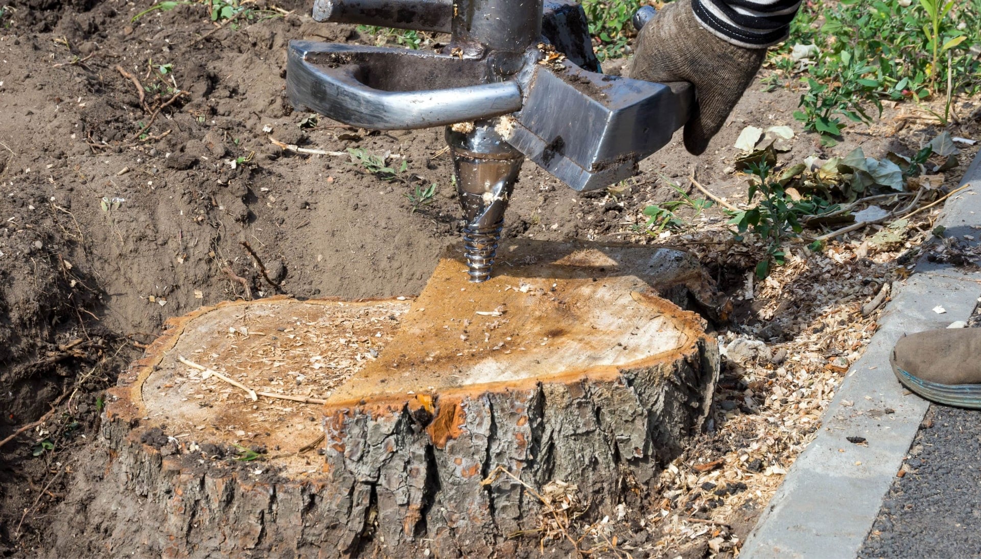 A stump grinding machines makes the job easier during tree removal services on a Columbus, OH property.
